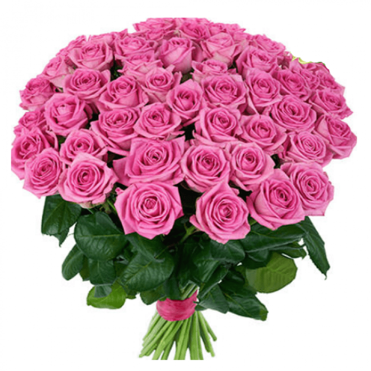 51 рожева троянда - image-0