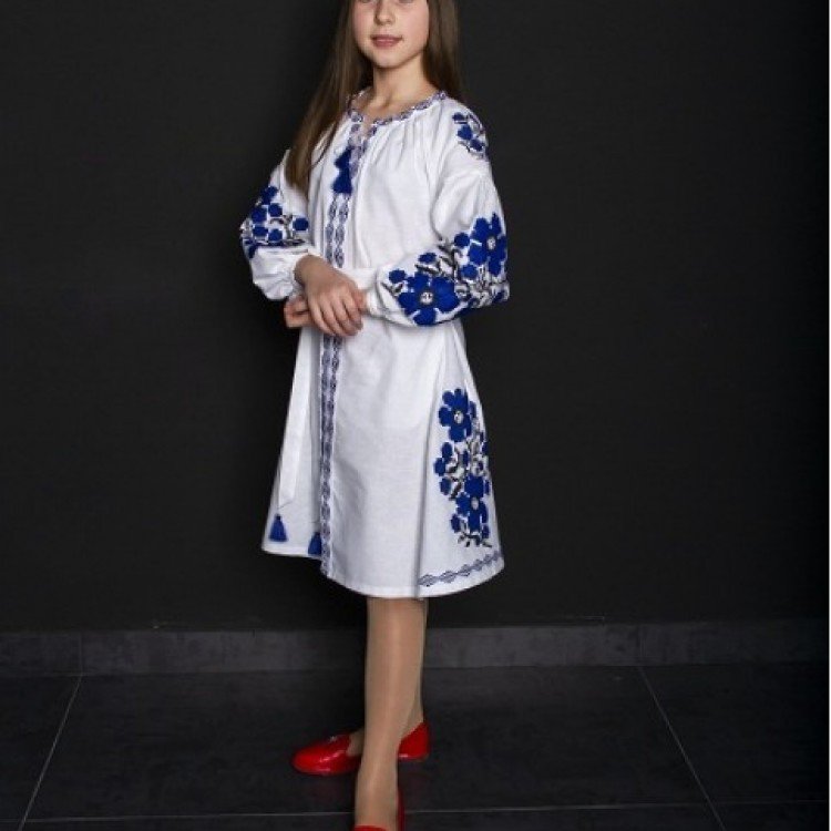 Вишита сукня дитяча "КВІТИ ПРАГИ" (БІЛА З СИНІМ) - image-0