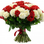 Букет червоних та білих троянд, 51 шт - image-0