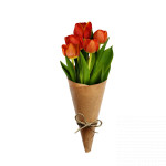 Bouquet of 5 red tulips - image-0