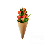 Букет 9 червоних тюльпанів - image-0