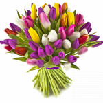 Bouquet of 51 colored tulips - image-0