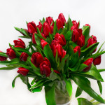 29 red tulips - image-0