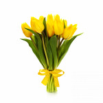 9 yellow tulips - image-0